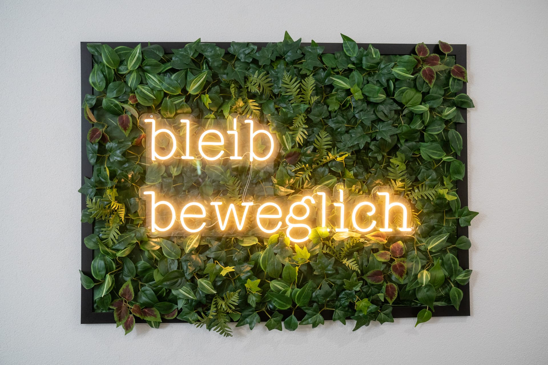 Neon-Schriftzug bleib beweglich auf grüner Pflanzenwand